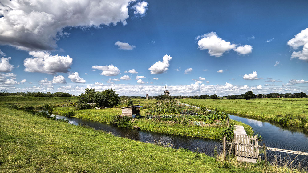 Dutch landscape image